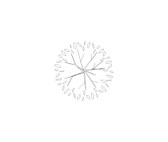 Evergreen Tree Large Style 4 Plan View CAD Block. Free DWG AutoCAD Imperial drawing available to download